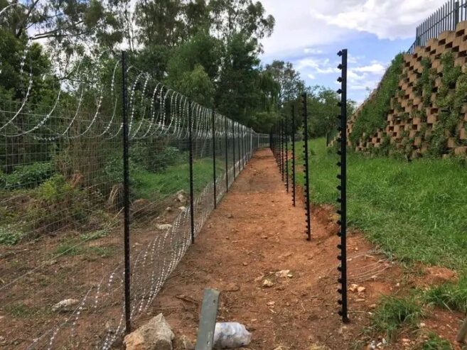 Chicken house and fencing