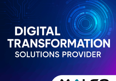 digital-transformation-solutions-provider-malgo