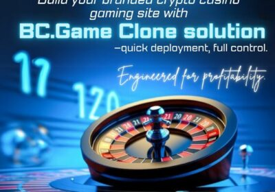 BC.Game-Clone-solution-1