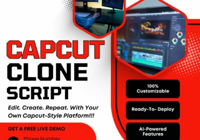 Bizvertex-CapCut-Clone-App