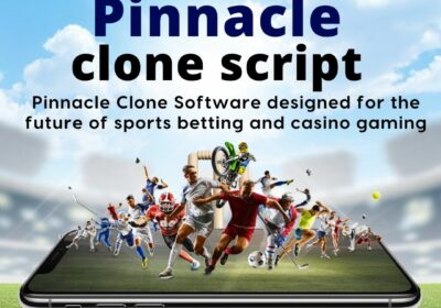 Pinnacle-clone-script
