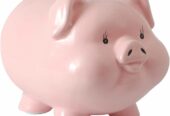 Short Term Loans Online Application Process without Check