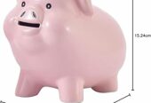 Short Term Loans Online Application Process without Check