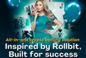 Whitelabel Rollbit crypto game clone software to start your blockchain casino in days, not months!